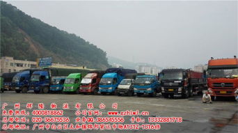 物流配送,行業(yè)內(nèi)全國領(lǐng)先,佛山禪城廣東東莞物流貨運(yùn)專線